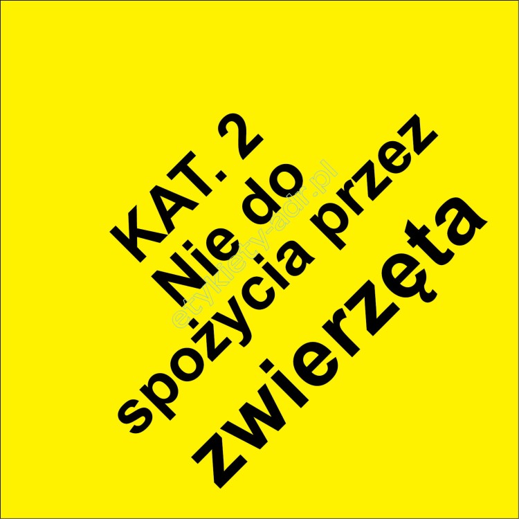 KAT 2.jpg